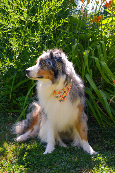 Wildflowers Organic Cotton Dog Bandana