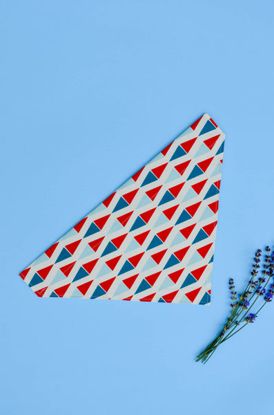 Ahoy Cotton Dog Bandana