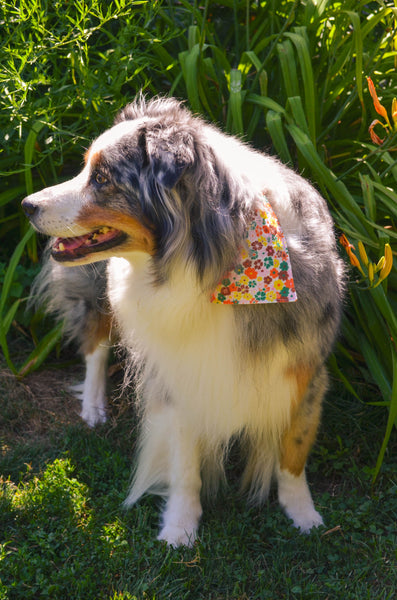 Wildflowers Organic Cotton Dog Bandana