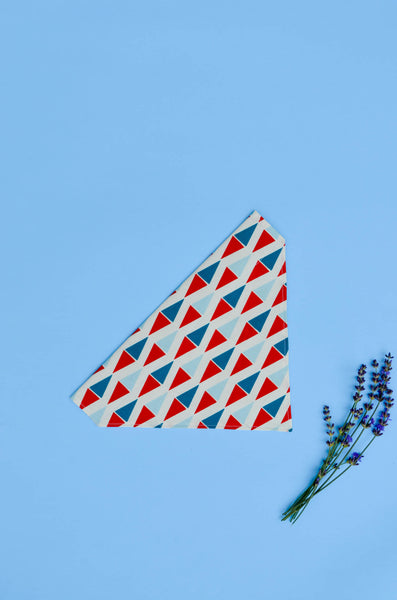 Ahoy Cotton Dog Bandana