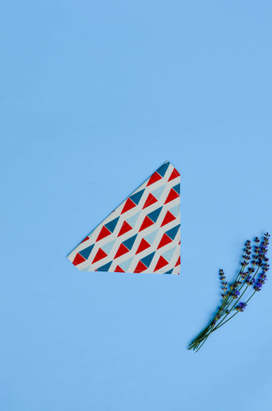 Ahoy Cotton Dog Bandana