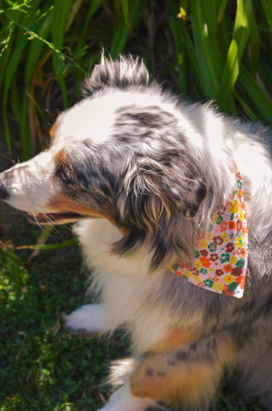 Wildflowers Organic Cotton Dog Bandana