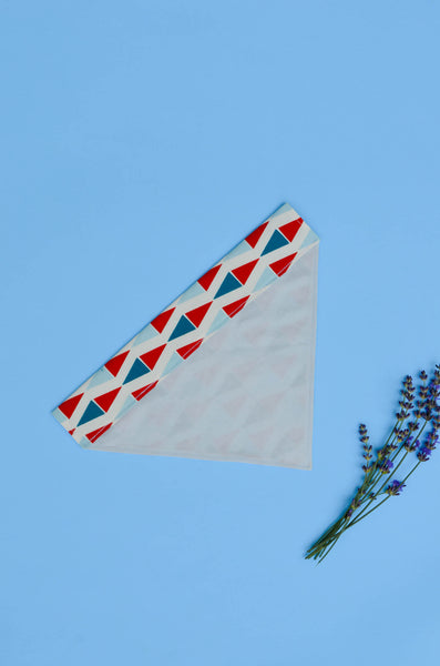 Ahoy Cotton Dog Bandana