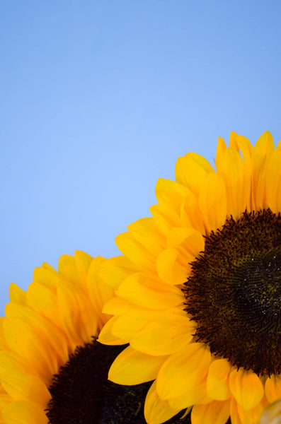 Mom Jeans Scented Soy Candle 7.2 oz