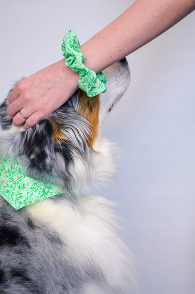 Jasmine Cotton Dog Bandana