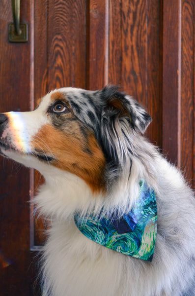 Companion Cotton Dog Bandana