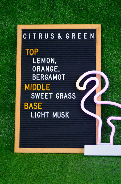 Lawn Flamingo Scented Soy Candle 7.2 oz