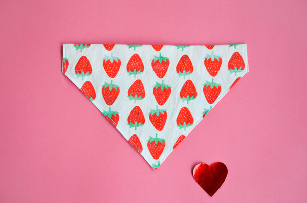 Strawberry Organic Cotton Dog Bandana