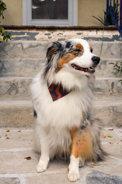 The Shining Organic Cotton Dog Bandana