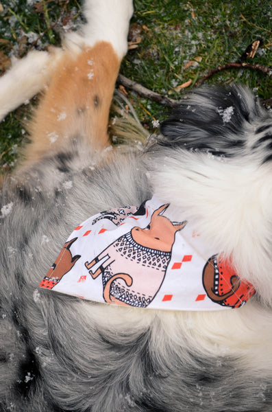 Sweater Weather Cotton Dog Bandana
