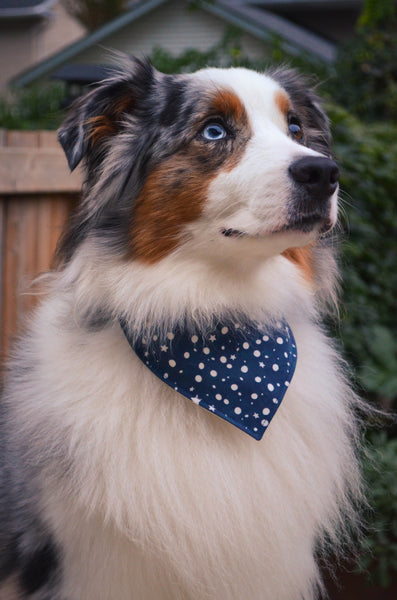 Night Skies Organic Cotton Dog Bandana