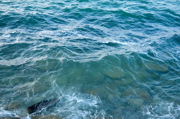 Overseas Scented Soy Candle 7.2 oz