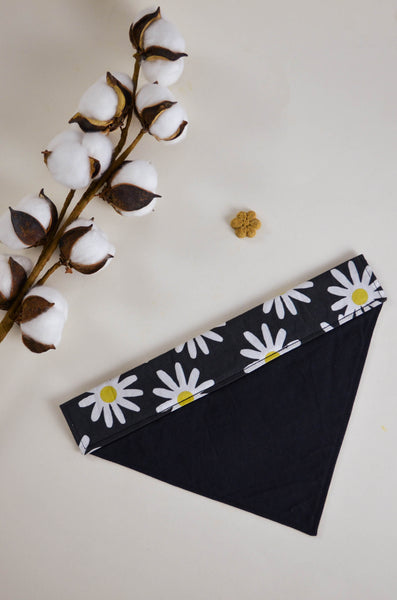 Black bandana with white daisy pattern on a light background with cotton plant.