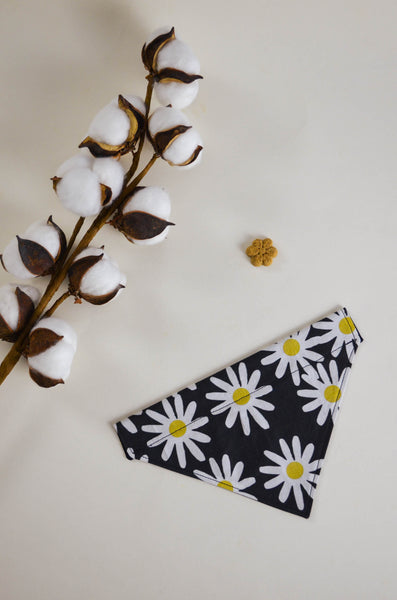 Black bandana with white daisy pattern on a light background with cotton plant.