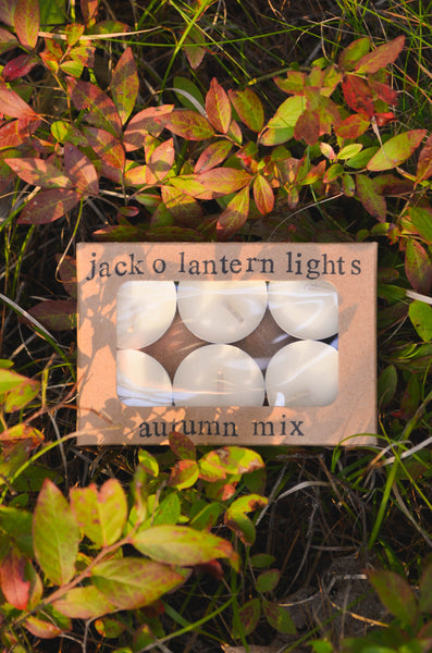 Jack-o-lantern Lights - Autumn Mix